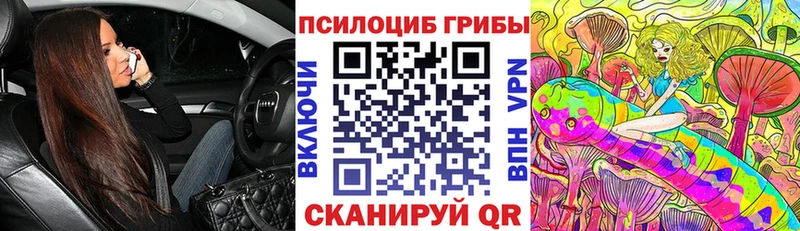 Псилоцибиновые грибы мицелий  сколько стоит  Нефтеюганск 